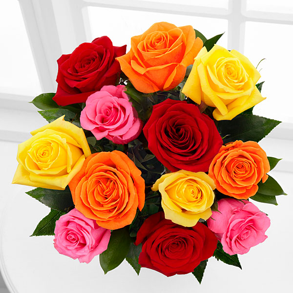SPÉCIAL Douzaine de Roses