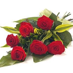 VF-6RR 1/2 douzaine de Roses Rouges Favorites
