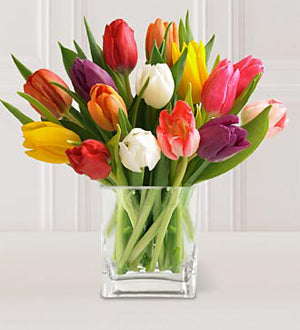 F087 Tulipes Assorties FTD