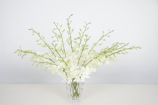 Arrangement d'Orchidées Dendrobium