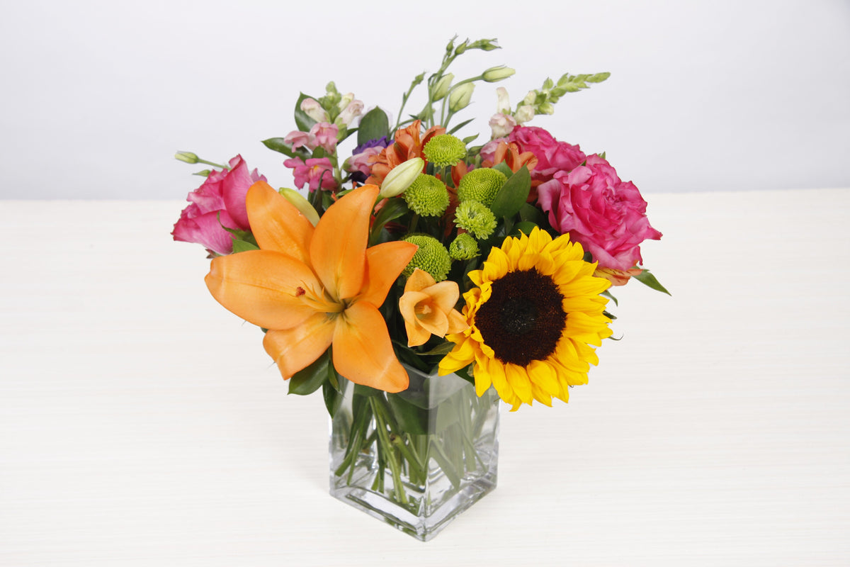 Arrangement Fiesta (AF)