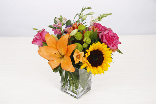 Arrangement Fiesta (AF)