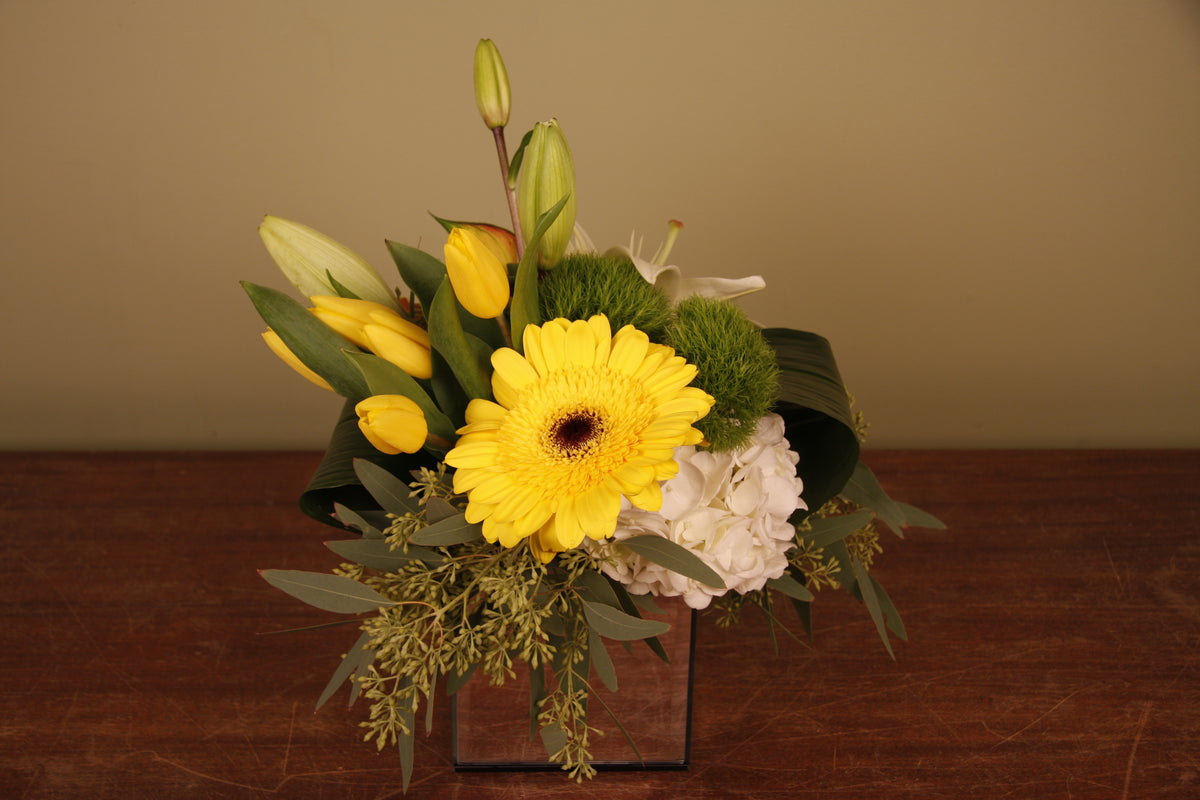 Arrangement Nouveau-Né