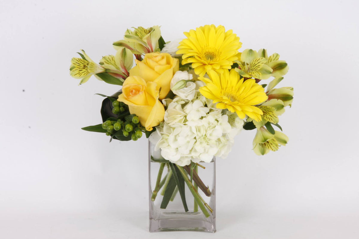 Bouquet de Soleil