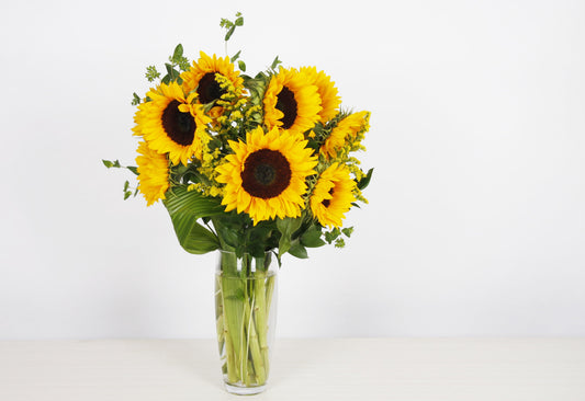 Bouquet de Tournesol (BT)
