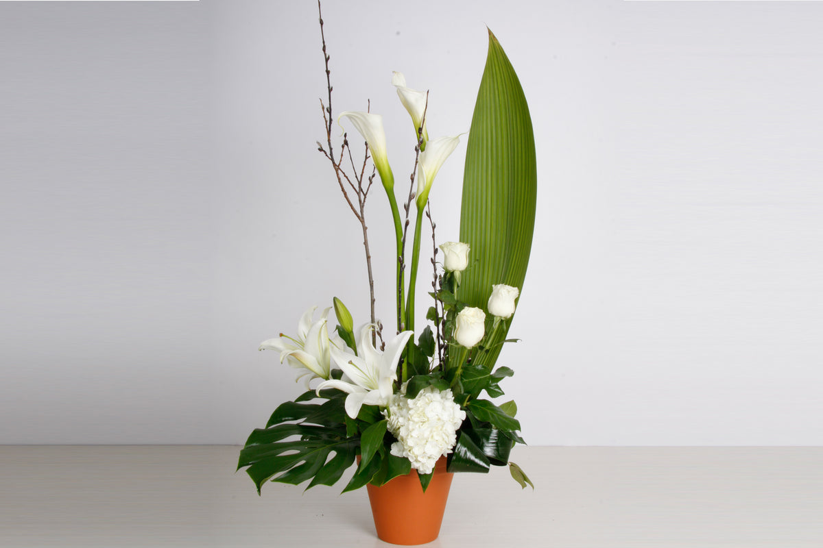Corbeille Contemporaine Blanche