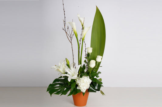 Corbeille Contemporaine Blanche