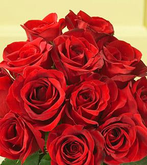 F415 Douzaine de Roses Rouges
