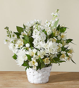 S5450 Arrangement d'affection éternelle